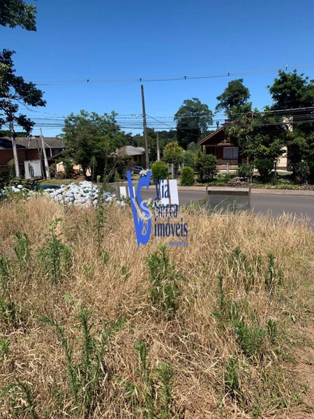 Terreno em permuta, a poucos metros da Catedral de Pedra, em Canela/RS!: 12ª foto da galeria de imagens do imóvel