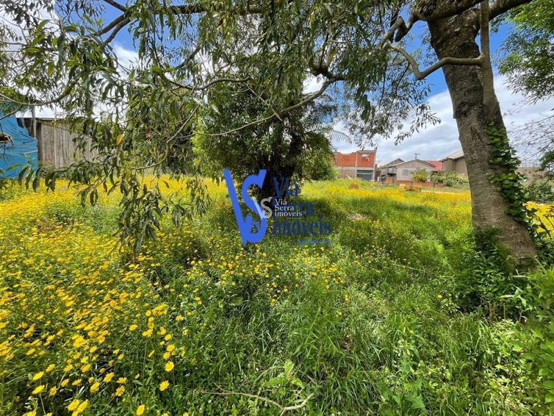 Terreno em permuta, a poucos metros da Catedral de Pedra, em Canela/RS!: 18ª foto da galeria de imagens do imóvel
