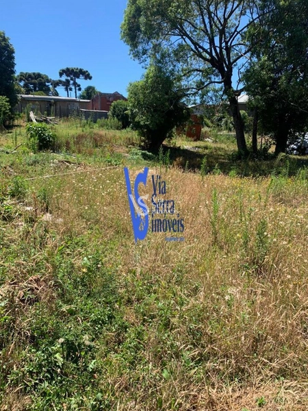Terreno em permuta, a poucos metros da Catedral de Pedra, em Canela/RS!: 16ª foto da galeria de imagens do imóvel