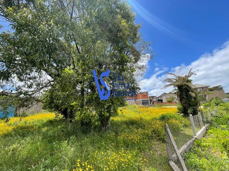 Terreno em permuta, a poucos metros da Catedral de Pedra, em Canela/RS!: 23ª foto da galeria de imagens do imóvel