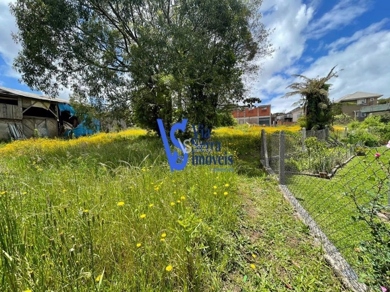 Terreno em permuta, a poucos metros da Catedral de Pedra, em Canela/RS!: 28ª foto da galeria de imagens do imóvel