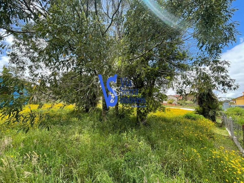 Terreno em permuta, a poucos metros da Catedral de Pedra, em Canela/RS!: 22ª foto da galeria de imagens do imóvel