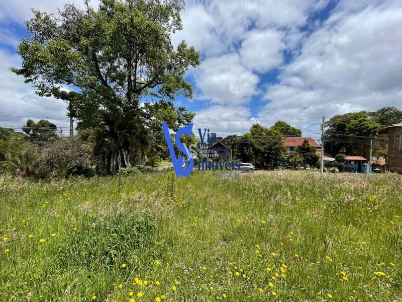 Terreno em permuta, a poucos metros da Catedral de Pedra, em Canela/RS!: 14ª foto da galeria de imagens do imóvel