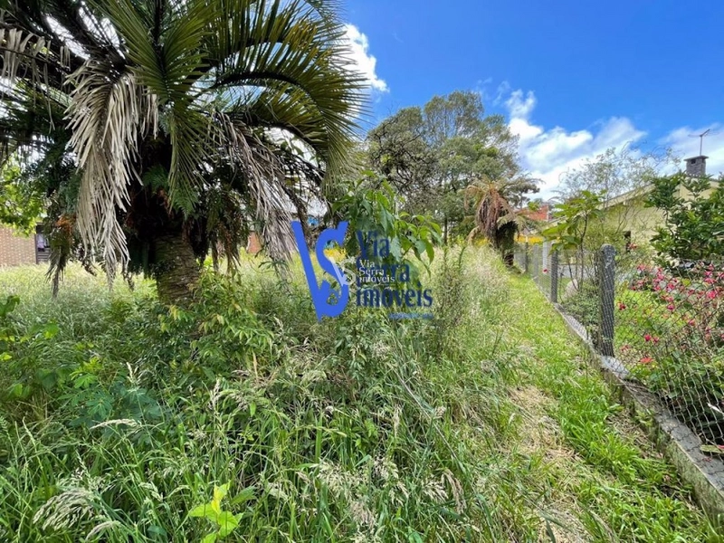 Terreno em permuta, a poucos metros da Catedral de Pedra, em Canela/RS!: 13ª foto da galeria de imagens do imóvel