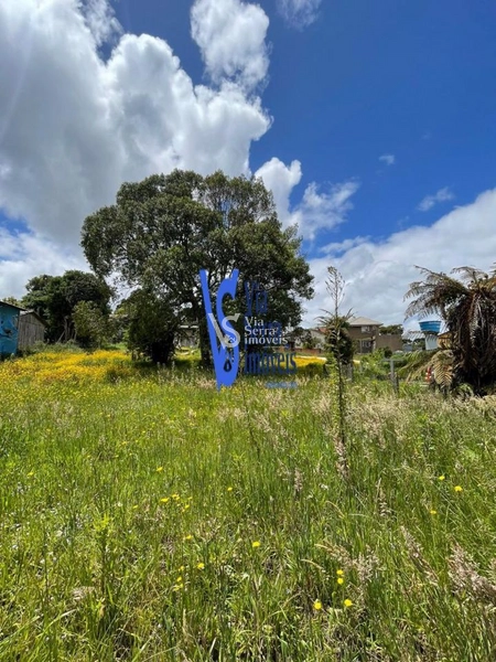Terreno em permuta, a poucos metros da Catedral de Pedra, em Canela/RS!: 19ª foto da galeria de imagens do imóvel