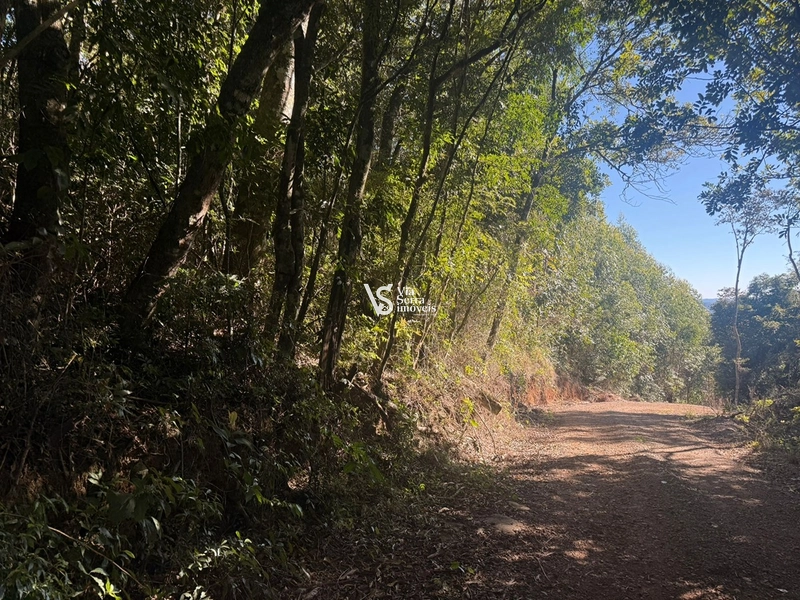 Área em Santa Maria do Herval/RS!: 3ª foto da galeria de imagens do imóvel
