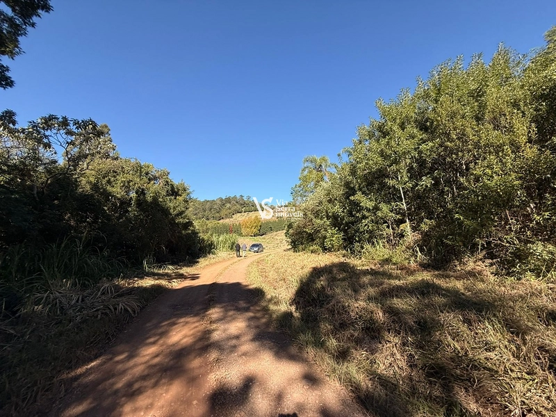 Área em Santa Maria do Herval/RS!: 6ª foto da galeria de imagens do imóvel