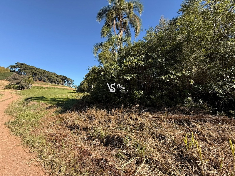 Área em Santa Maria do Herval/RS!: 10ª foto da galeria de imagens do imóvel
