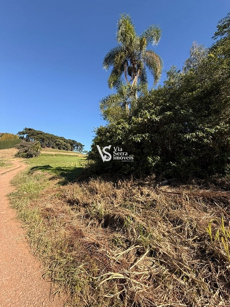 Área em Santa Maria do Herval/RS!: 9ª foto da galeria de imagens do imóvel