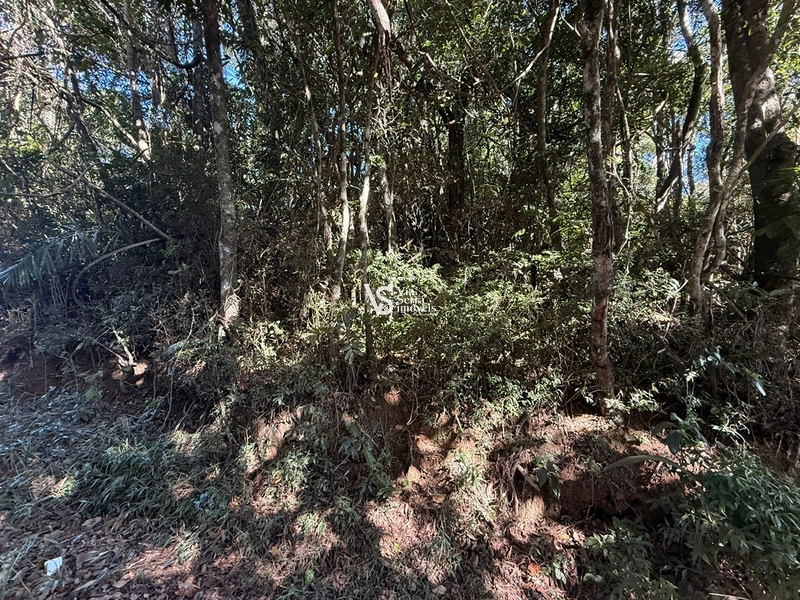 Área em Santa Maria do Herval/RS!: 2ª foto da galeria de imagens do imóvel