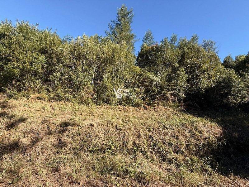 Área em Santa Maria do Herval/RS!: 5ª foto da galeria de imagens do imóvel