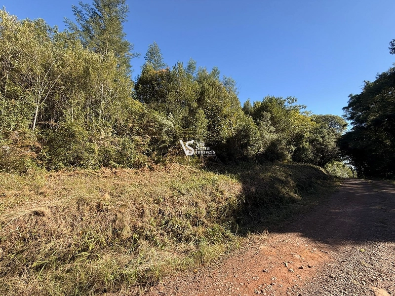 Área em Santa Maria do Herval/RS!: 4ª foto da galeria de imagens do imóvel