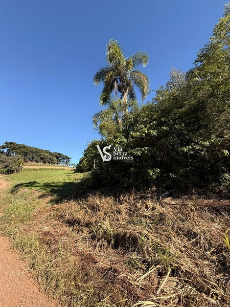 Área em Santa Maria do Herval/RS!: 8ª foto da galeria de imagens do imóvel