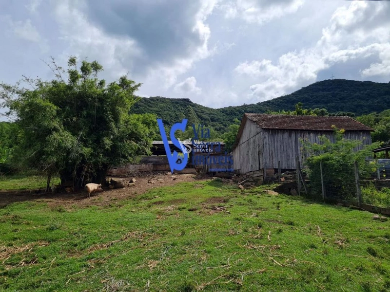 Sítio à venda, na Serra Grande, em Igrejinha/RS!: 18ª foto da galeria de imagens do imóvel