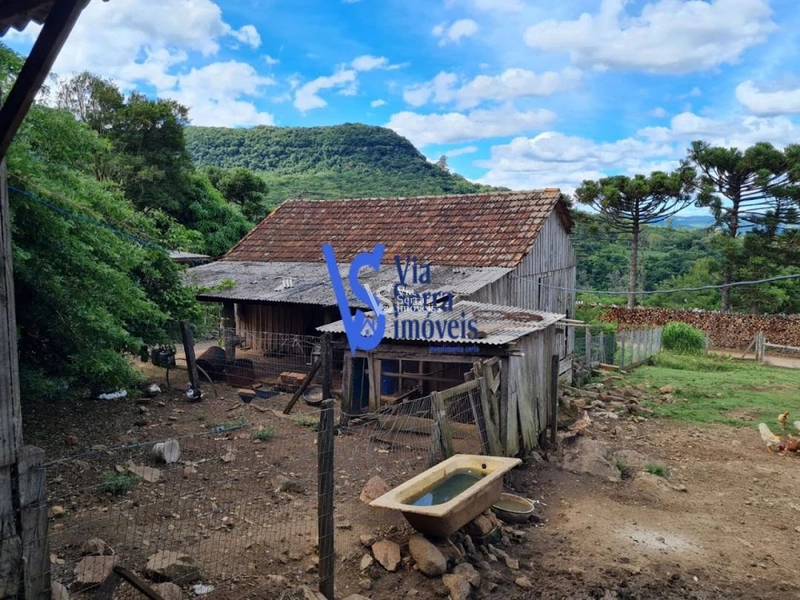 Sítio à venda, na Serra Grande, em Igrejinha/RS!: 8ª foto da galeria de imagens do imóvel