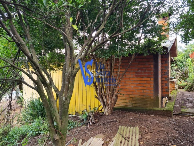 Sítio à venda, na Serra Grande, em Igrejinha/RS!: 36ª foto da galeria de imagens do imóvel