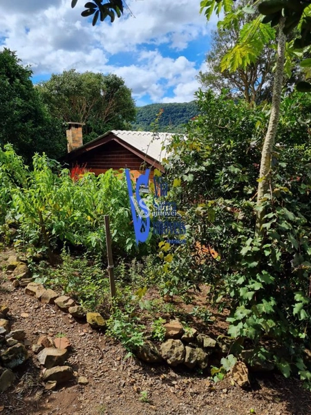 Sítio à venda, na Serra Grande, em Igrejinha/RS!: 3ª foto da galeria de imagens do imóvel