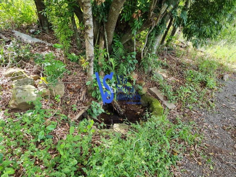 Sítio à venda, na Serra Grande, em Igrejinha/RS!: 53ª foto da galeria de imagens do imóvel