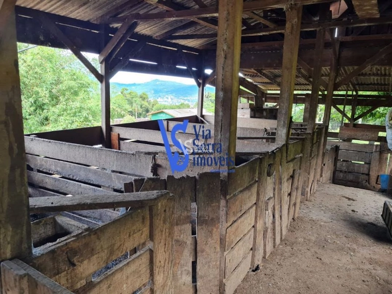 Sítio à venda, na Serra Grande, em Igrejinha/RS!: 43ª foto da galeria de imagens do imóvel