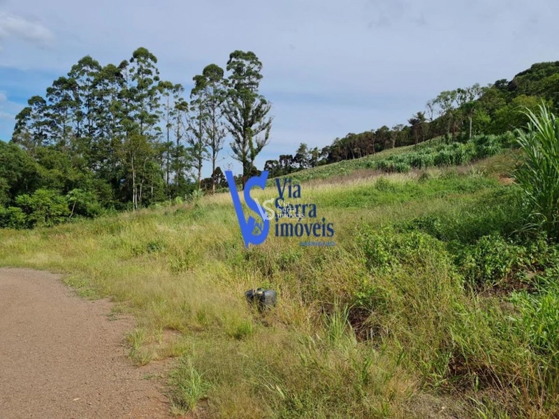 Sítio à venda, na Serra Grande, em Igrejinha/RS!: 6ª foto da galeria de imagens do imóvel