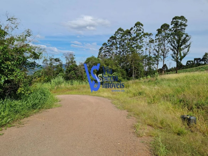 Sítio à venda, na Serra Grande, em Igrejinha/RS!: 33ª foto da galeria de imagens do imóvel