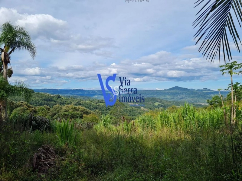 Sítio à venda, na Serra Grande, em Igrejinha/RS!: 57ª foto da galeria de imagens do imóvel