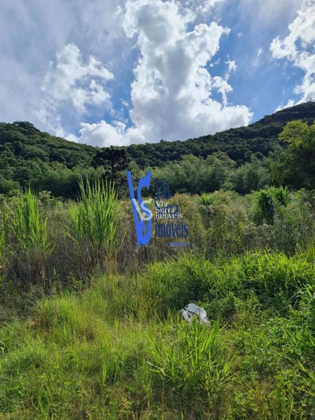 Sítio à venda, na Serra Grande, em Igrejinha/RS!: 32ª foto da galeria de imagens do imóvel