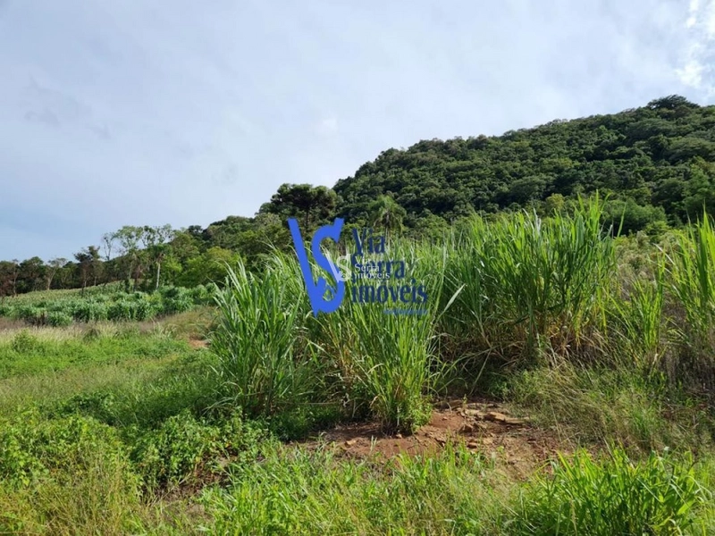 Sítio à venda, na Serra Grande, em Igrejinha/RS!: 52ª foto da galeria de imagens do imóvel