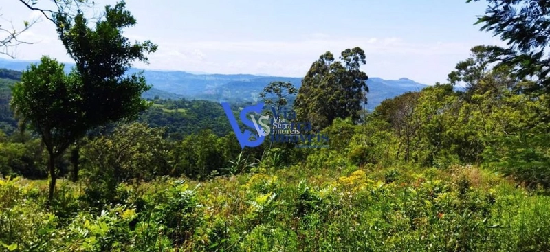 Sítio à venda, na Serra Grande, em Igrejinha/RS!: 16ª foto da galeria de imagens do imóvel