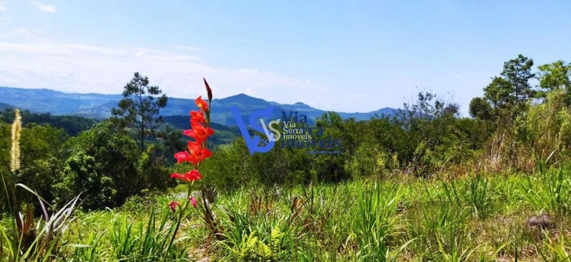 Sítio à venda, na Serra Grande, em Igrejinha/RS!: 49ª foto da galeria de imagens do imóvel