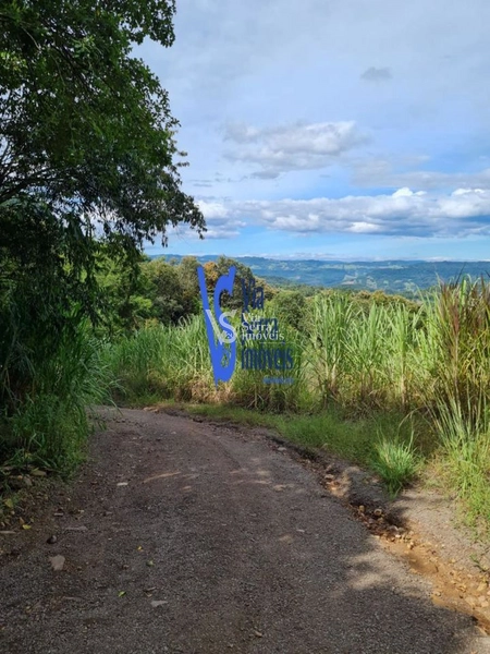 Sítio à venda, na Serra Grande, em Igrejinha/RS!: 25ª foto da galeria de imagens do imóvel