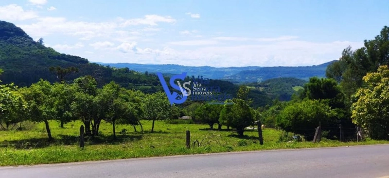 Sítio à venda, na Serra Grande, em Igrejinha/RS!: 23ª foto da galeria de imagens do imóvel