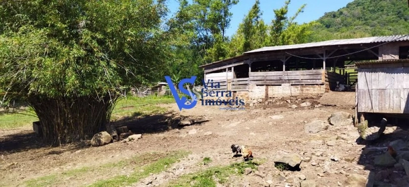 Sítio à venda, na Serra Grande, em Igrejinha/RS!: 40ª foto da galeria de imagens do imóvel