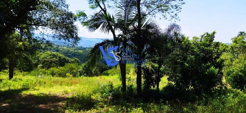 Sítio à venda, na Serra Grande, em Igrejinha/RS!: 22ª foto da galeria de imagens do imóvel