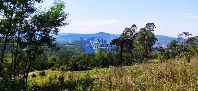 Sítio à venda, na Serra Grande, em Igrejinha/RS!: 46ª foto da galeria de imagens do imóvel
