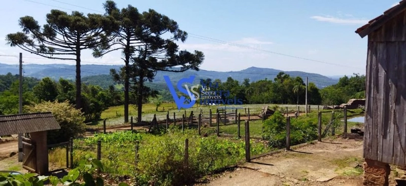 Sítio à venda, na Serra Grande, em Igrejinha/RS!: 10ª foto da galeria de imagens do imóvel