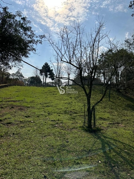 Sitio em Serra Grande!: 23ª foto da galeria de imagens do imóvel