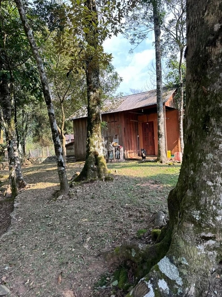 Sitio em Serra Grande!: 35ª foto da galeria de imagens do imóvel