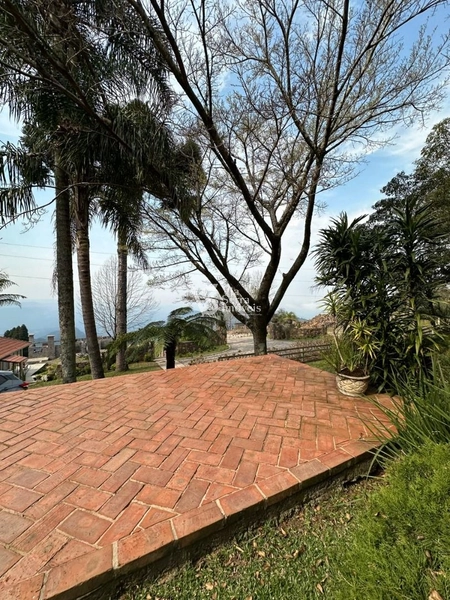 Sitio em Serra Grande!: 33ª foto da galeria de imagens do imóvel