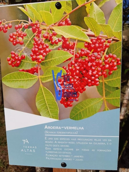 Terreno à venda, no loteamento Terras Altas, em Gramado/RS!: 16ª foto da galeria de imagens do imóvel
