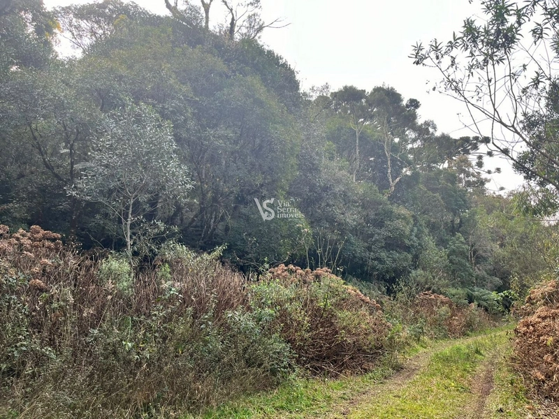 Terreno à venda, em São Francisco de Paula/RS!: 12ª foto da galeria de imagens do imóvel