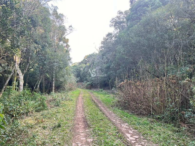 Terreno à venda, em São Francisco de Paula/RS!: 20ª foto da galeria de imagens do imóvel
