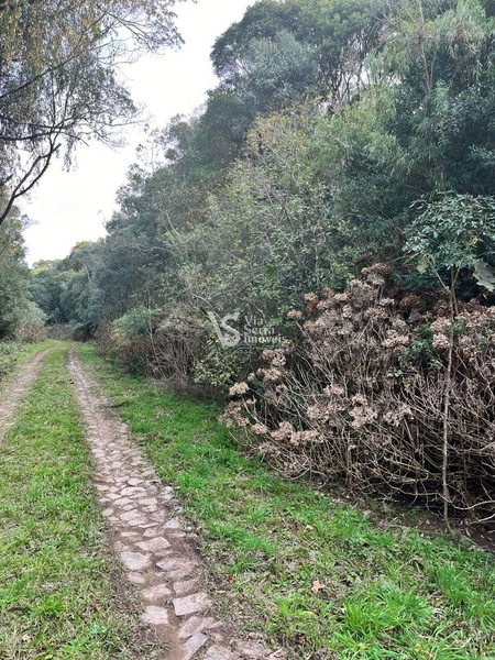Terreno à venda, em São Francisco de Paula/RS!: 4ª foto da galeria de imagens do imóvel