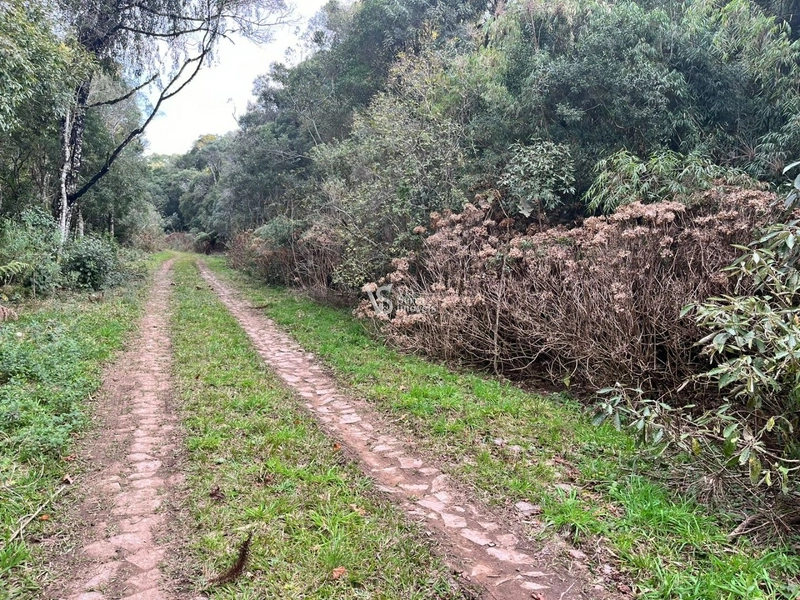 Terreno à venda, em São Francisco de Paula/RS!: 11ª foto da galeria de imagens do imóvel