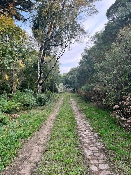 Terreno à venda, em São Francisco de Paula/RS!: 1ª foto da galeria de imagens do imóvel