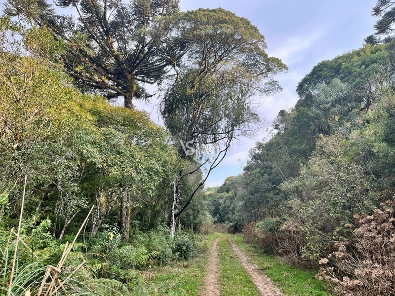 Terreno à venda, em São Francisco de Paula/RS!: 19ª foto da galeria de imagens do imóvel