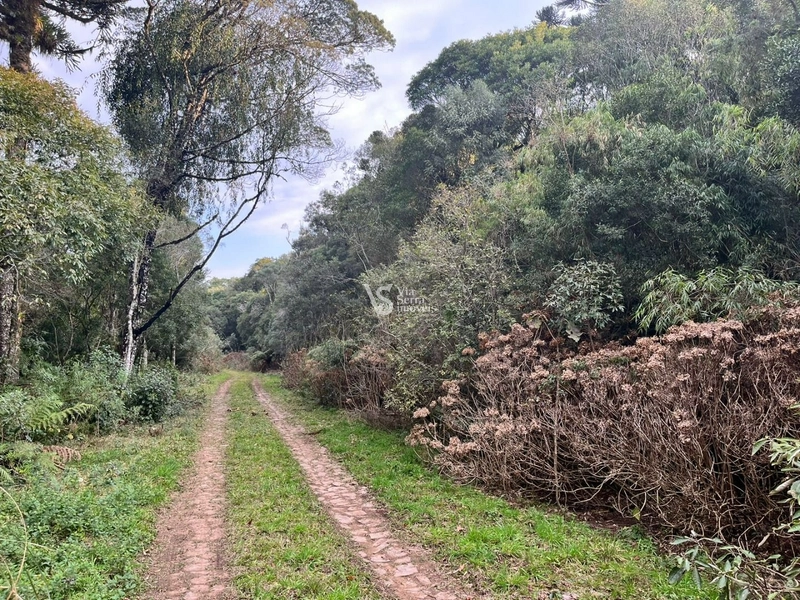 Terreno à venda, em São Francisco de Paula/RS!: 10ª foto da galeria de imagens do imóvel
