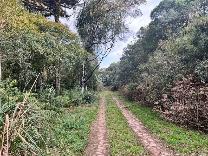 Terreno à venda, em São Francisco de Paula/RS!: 3ª foto da galeria de imagens do imóvel