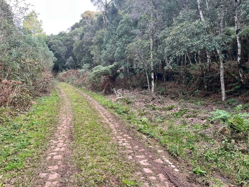 Terreno à venda, em São Francisco de Paula/RS!: 18ª foto da galeria de imagens do imóvel