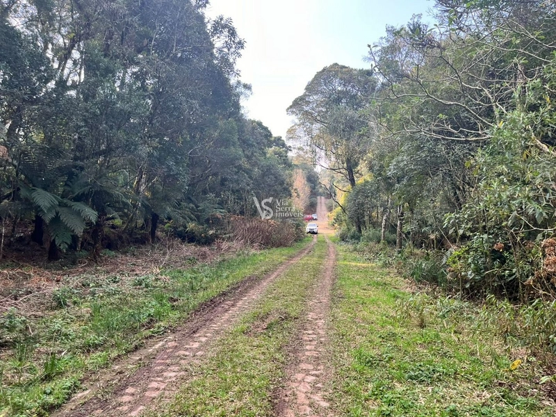 Terreno à venda, em São Francisco de Paula/RS!: 8ª foto da galeria de imagens do imóvel